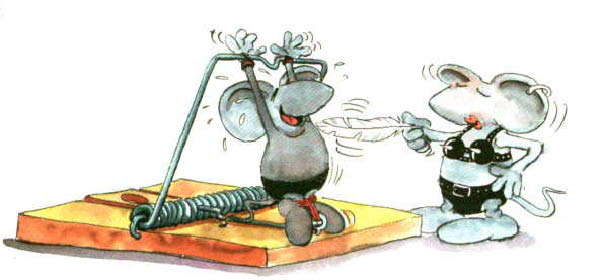 Souris 0002-humourenvrac